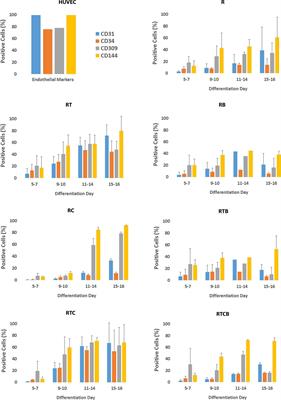 Temporal Dynamics of Gene Expression During Endothelial Cell Differentiation From Human iPS Cells: A Comparison Study of Signalling Factors and Small Molecules